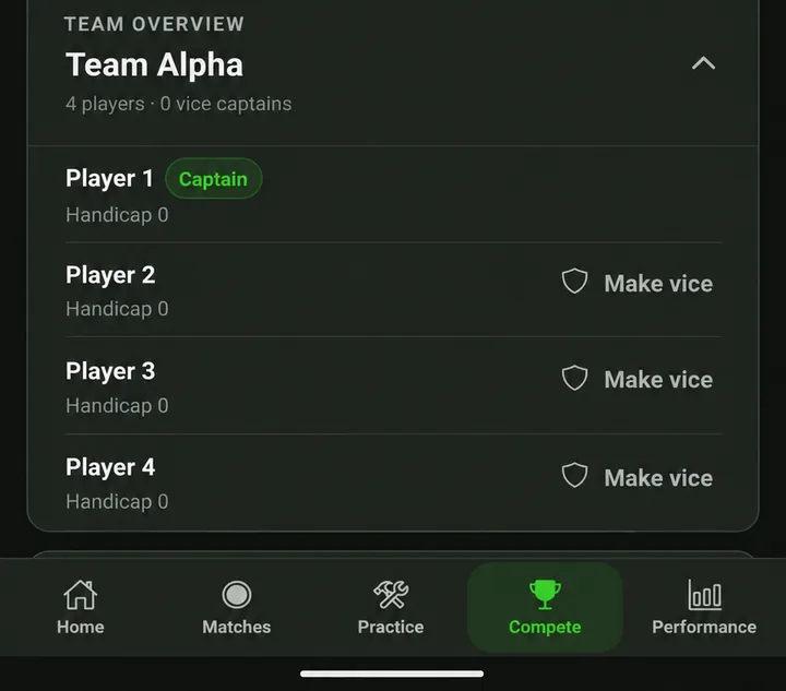 Team overview showing Make vice controls